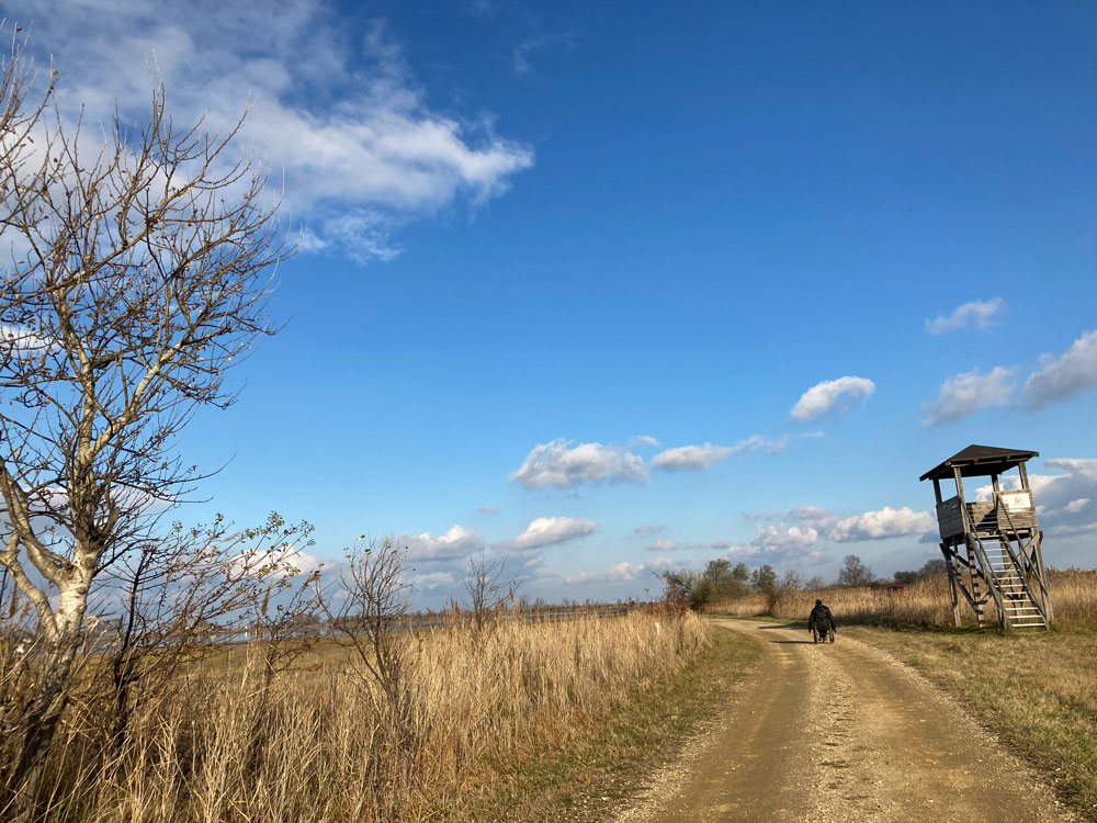 Stille Naturlandschaft bei Apetlon – Raum für innere Einkehr und tiefe Verbindung mit der Erde